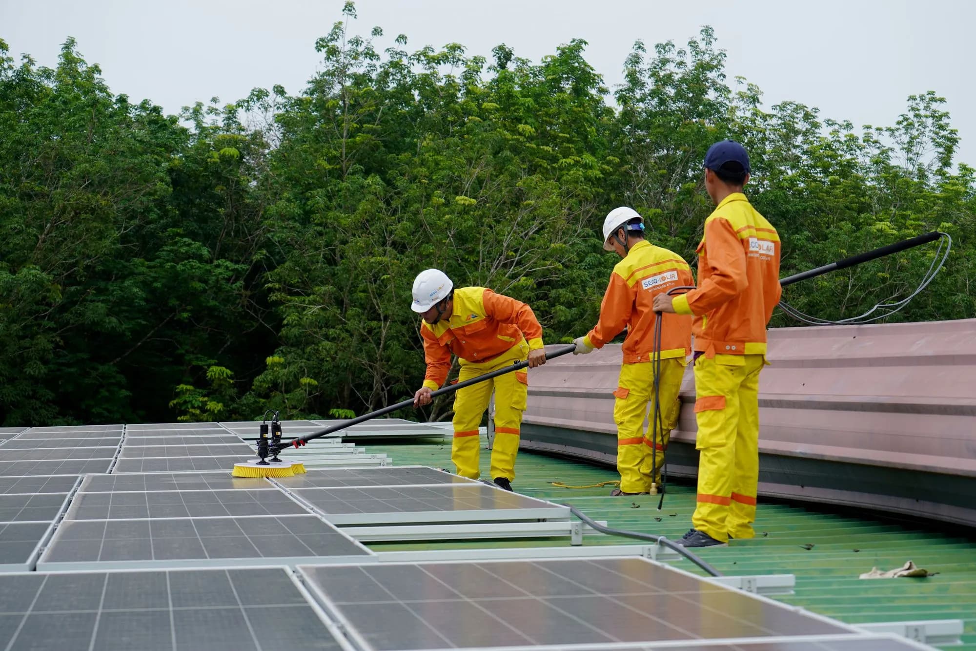 Reinigung einer Photovoltaikanlage
